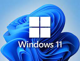 windows 11 pro lisans satın al