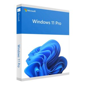 windows 11 pro key orijinal lisansı softpera yazılım mağazasında