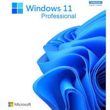 windows 11 pro lisans satın al